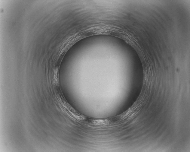 X0000058820239200509300923