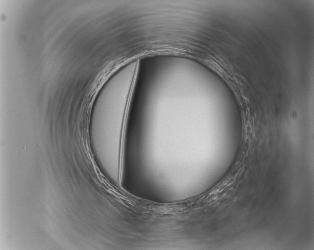 X0000058820241200509300922