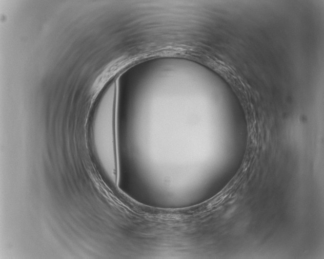 X0000058820242200509300922