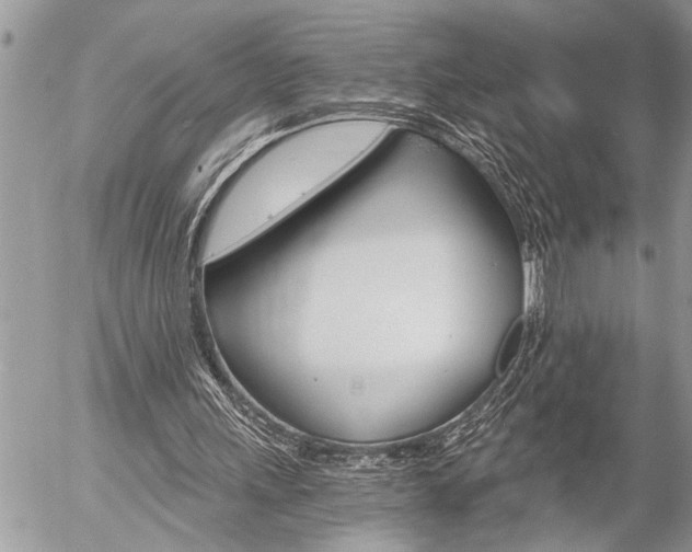 X0000058820243200509300922