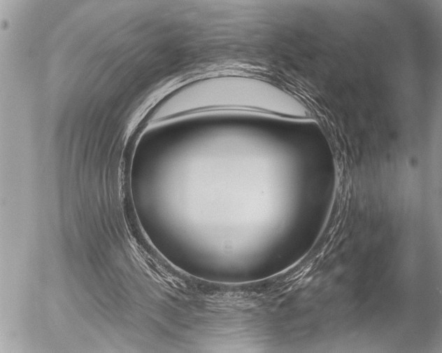 X0000058820244200509300922