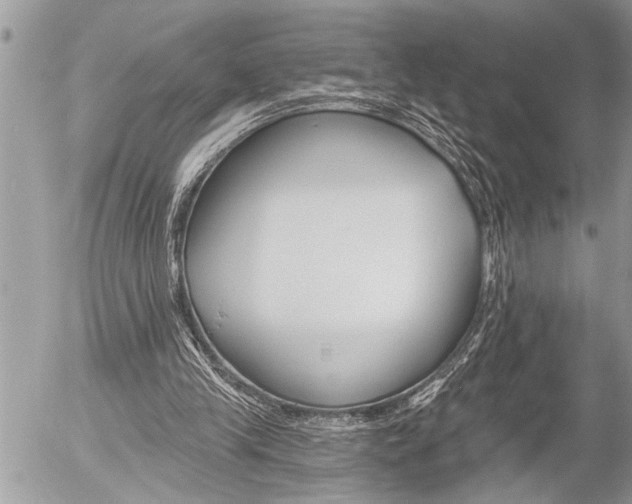 X0000058820245200509300923