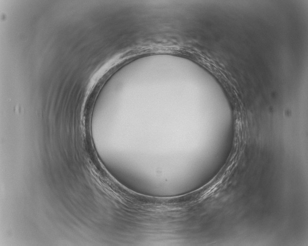 X0000058820246200509300923