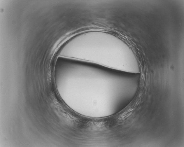 X0000058820247200509300923