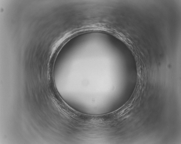 X0000058820248200509300923