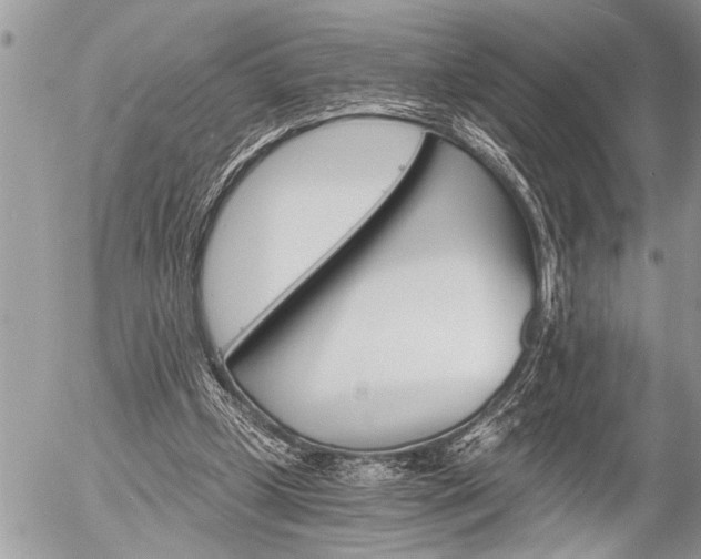 X0000058820249200509300923