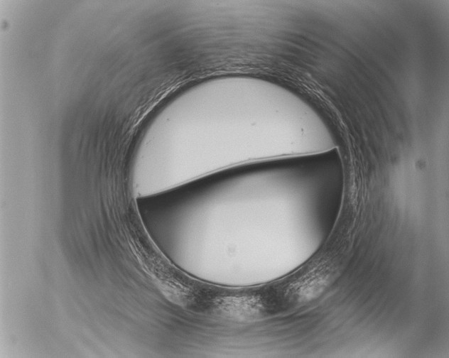 X0000058820251200509300923