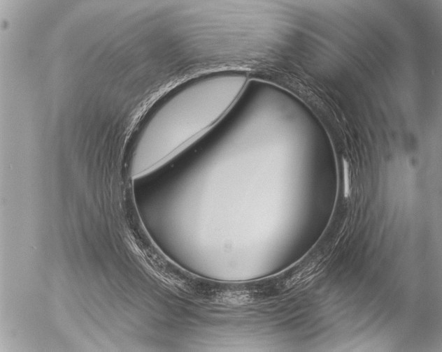 X0000058820252200509300923