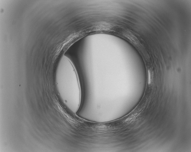 X0000058820253200509300923