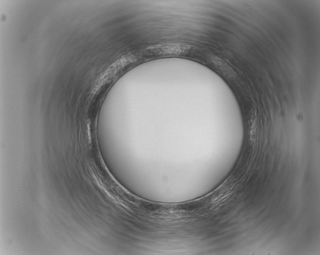 X0000058820254200509300923