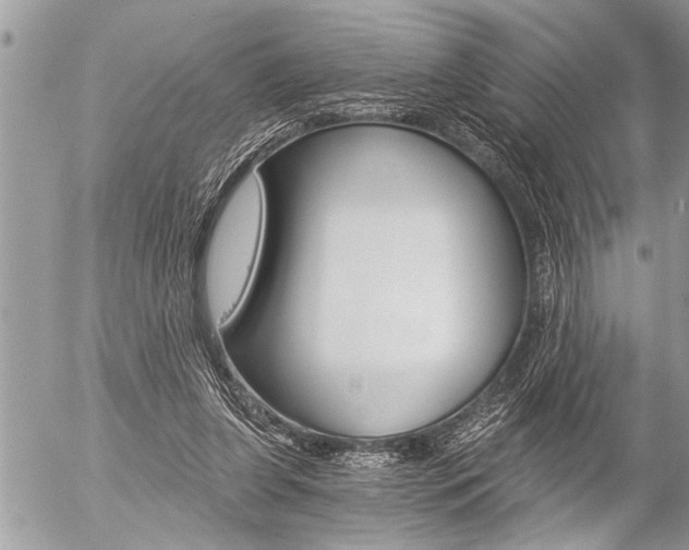 X0000058820255200509300923