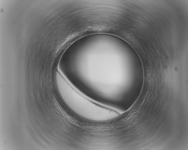 X0000058820256200509300923