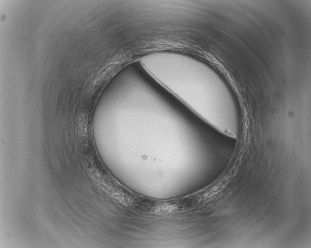 X0000058820257200509300923