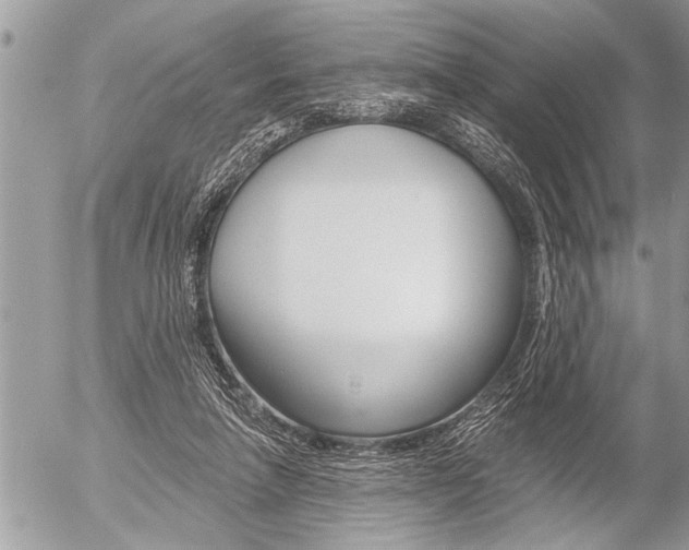 X0000058820258200509300923