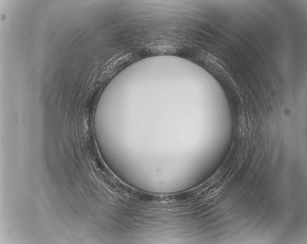 X0000058820259200509300923