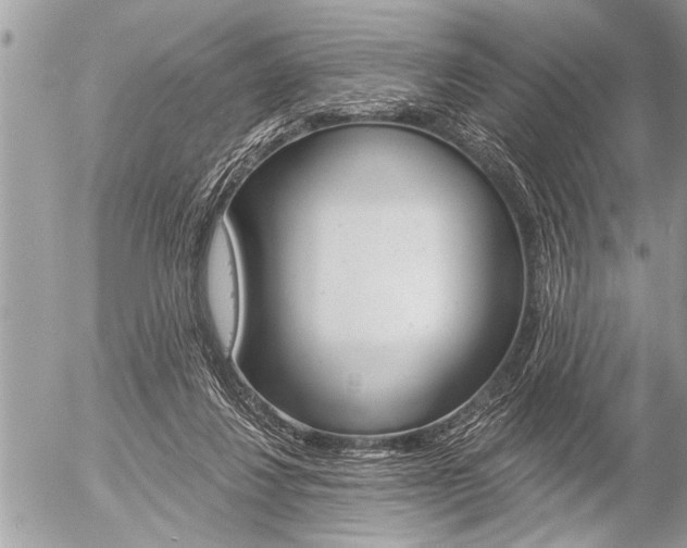 X0000058820260200509300923