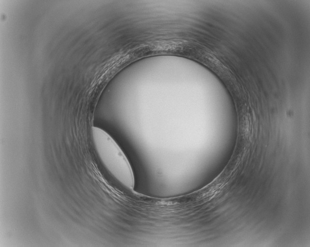 X0000058820261200509300923