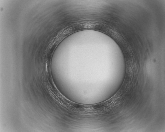 X0000058820262200509300923