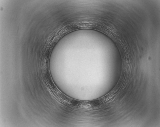 X0000058820263200509300923