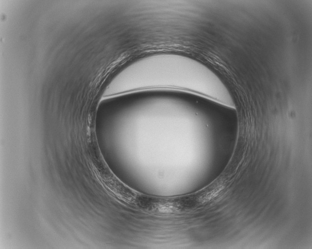 X0000058820264200509300923