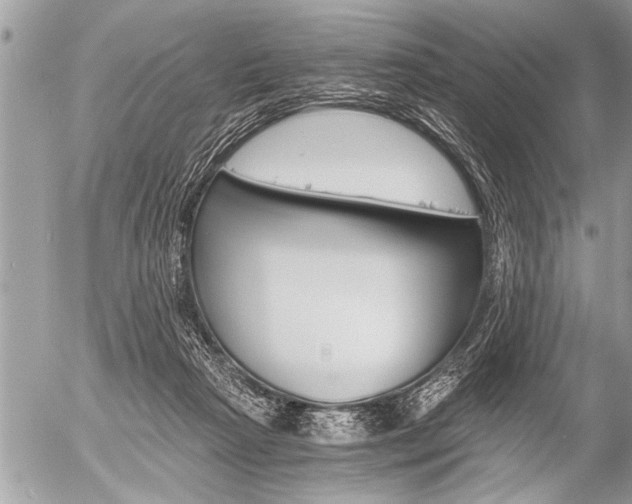 X0000058820265200509300923