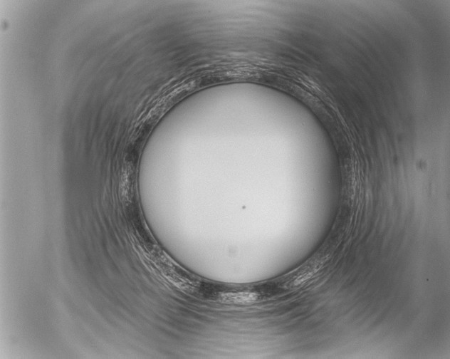 X0000058820266200509300923