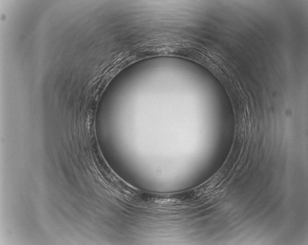 X0000058820268200509300923