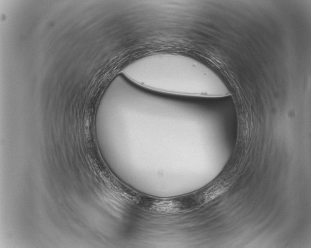 X0000058820269200509300923