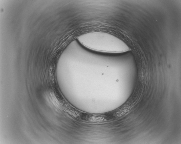 X0000058820270200509300923