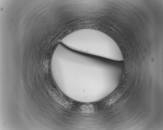 X0000058820271200509300923