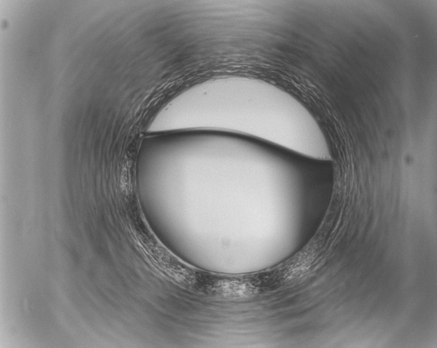 X0000058820272200509300923