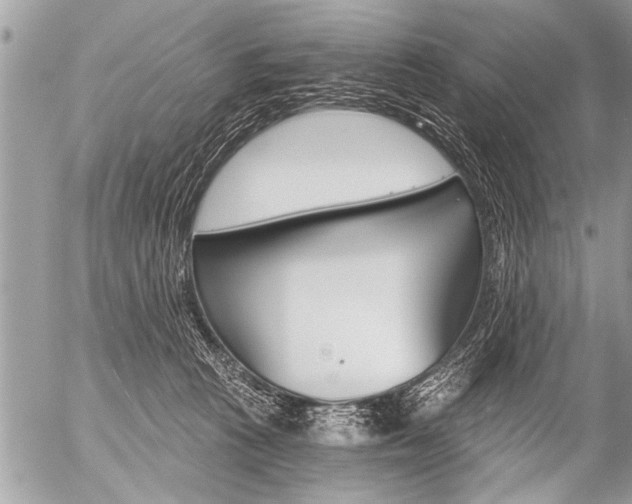 X0000058820273200509300923