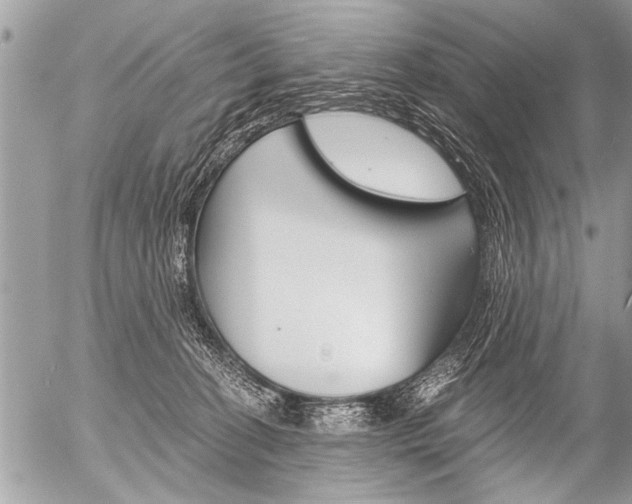 X0000058820274200509300923