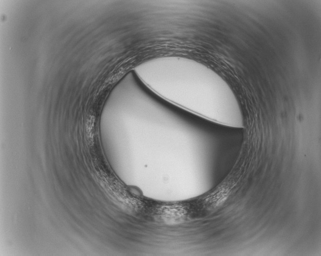 X0000058820275200509300923