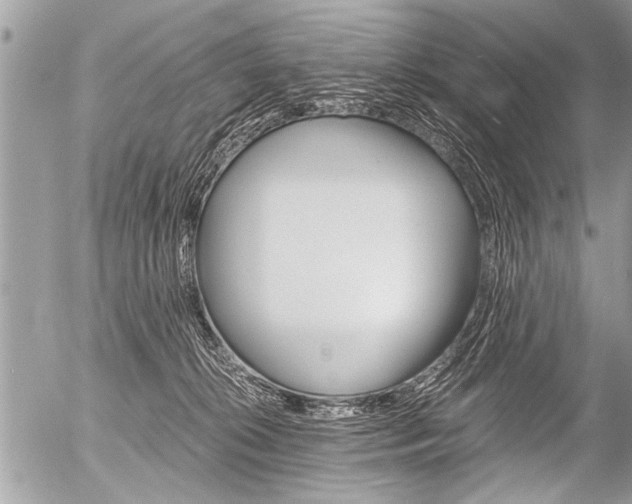 X0000058820276200509300923