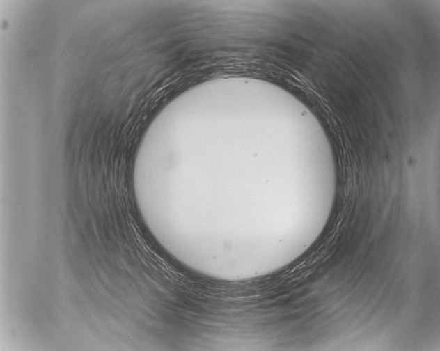 X0000058820277200509300923