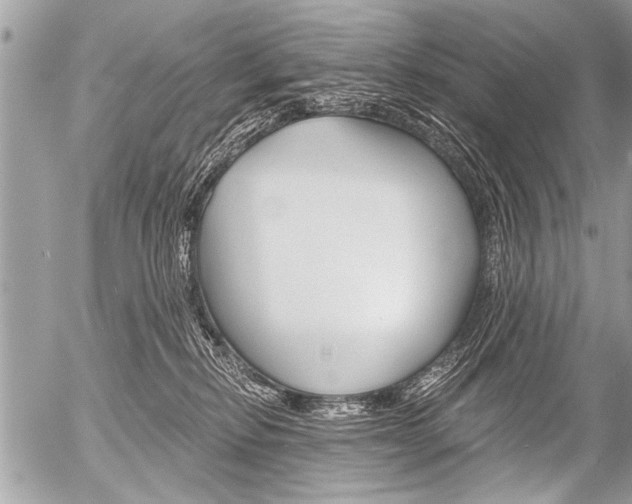 X0000058820278200509300923