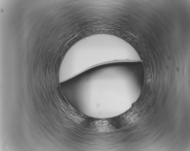 X0000058820279200509300923