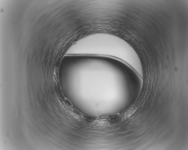 X0000058820280200509300923