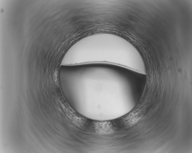 X0000058820281200509300923