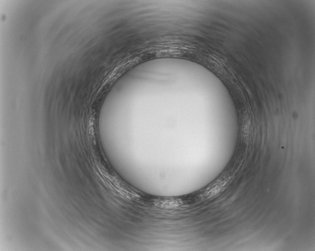 X0000058820282200509300923