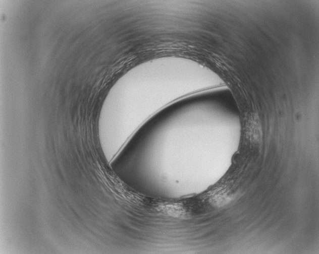 X0000058820283200509300923