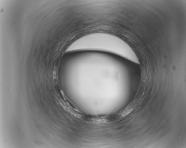 X0000058820284200509300923