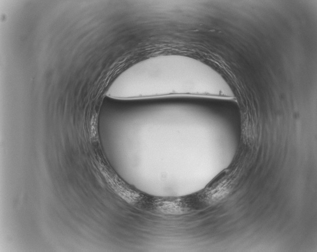 X0000058820285200509300923