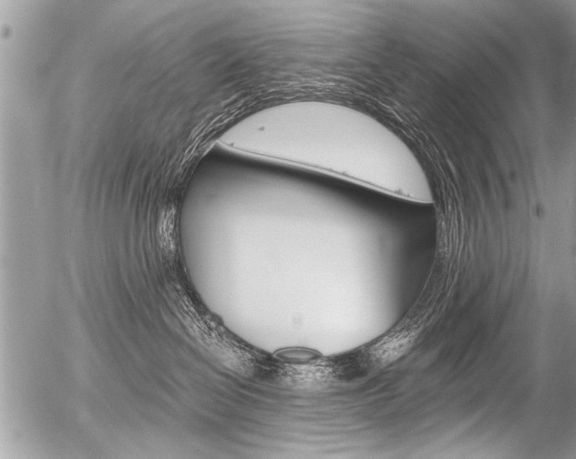 X0000058820286200509300923