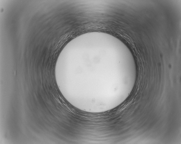 X0000058820288200509300923