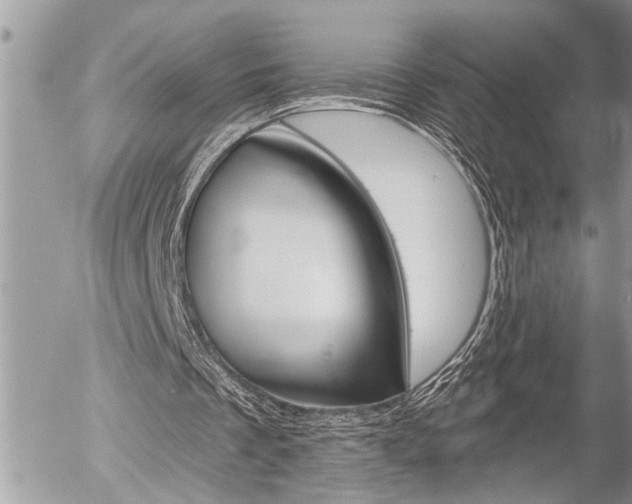 X0000058820289200509300922