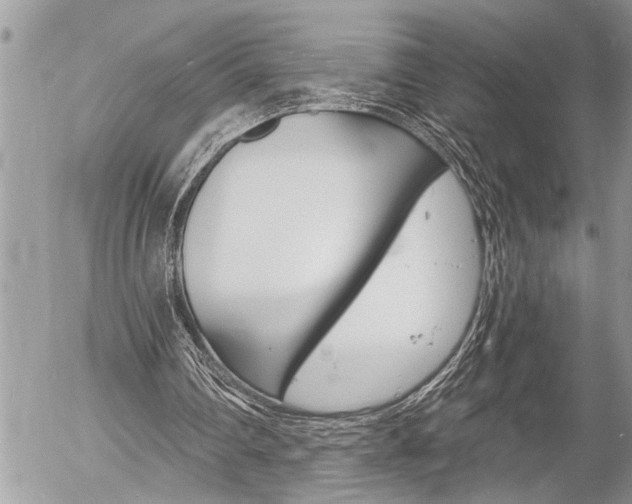 X0000058820290200509300922