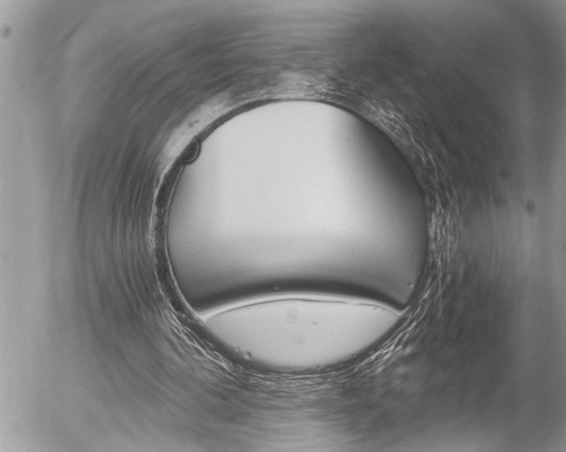 X0000058820292200509300922