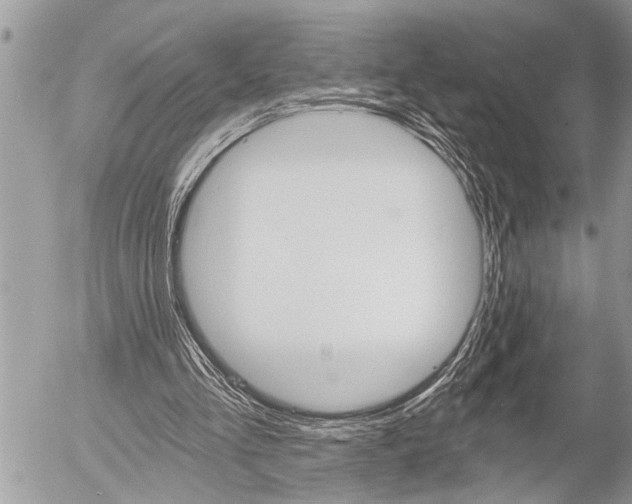 X0000058820293200509300922